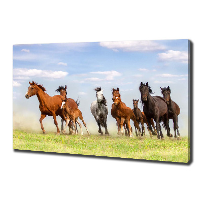 Tableau imprimé sur toile Chevaux au galop