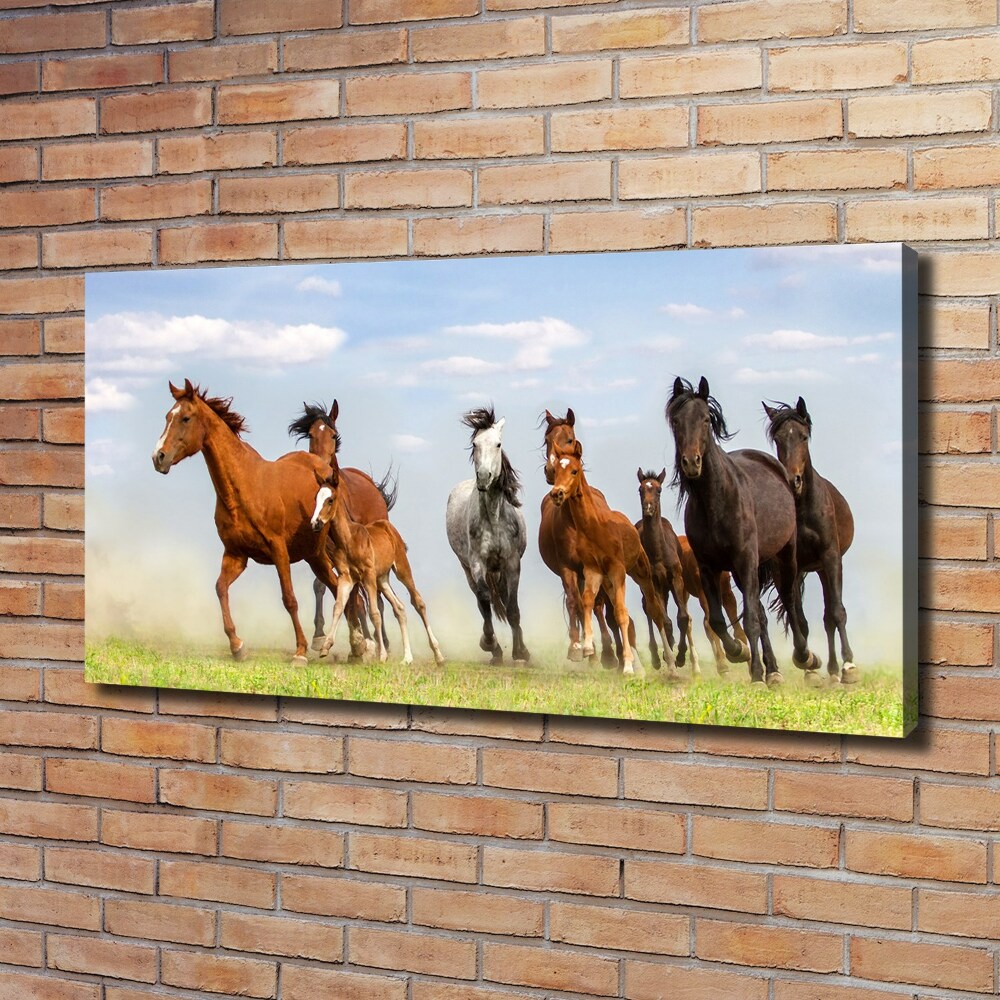 Tableau imprimé sur toile Chevaux au galop