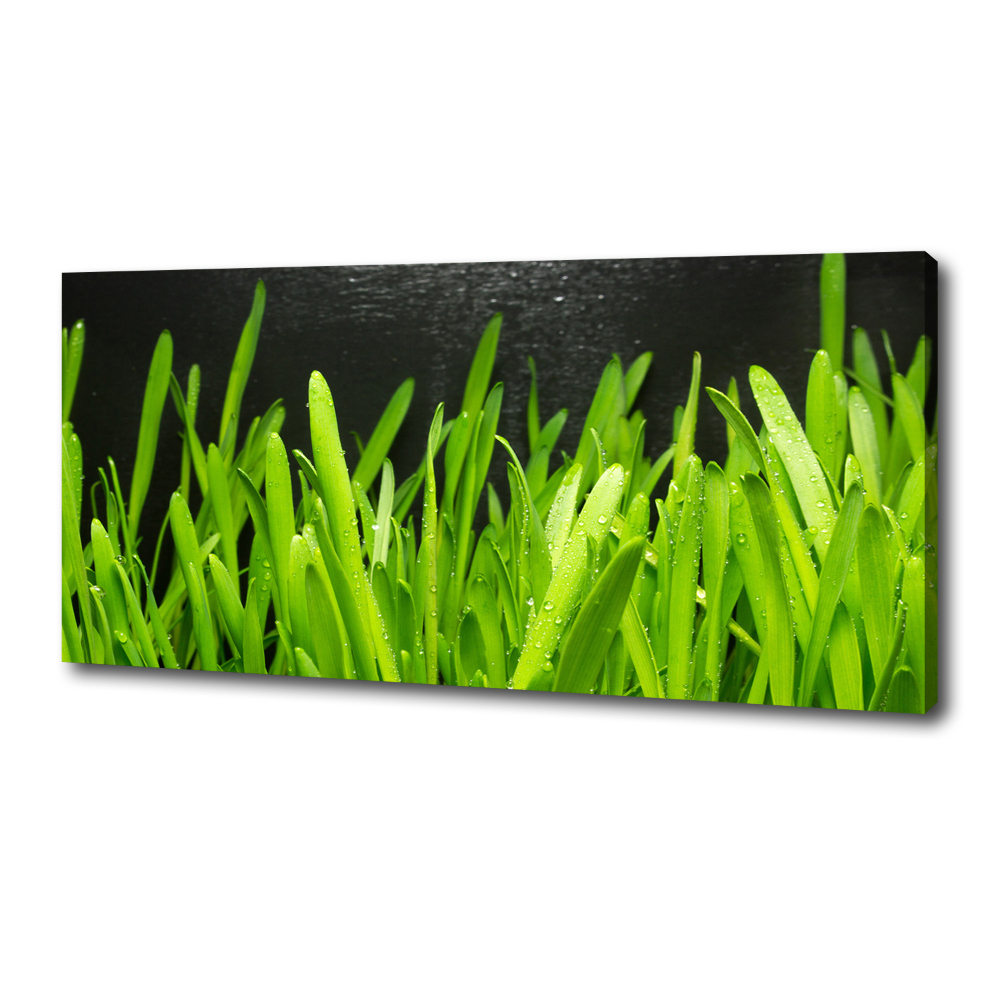 Tableau imprimé sur toile Herbe