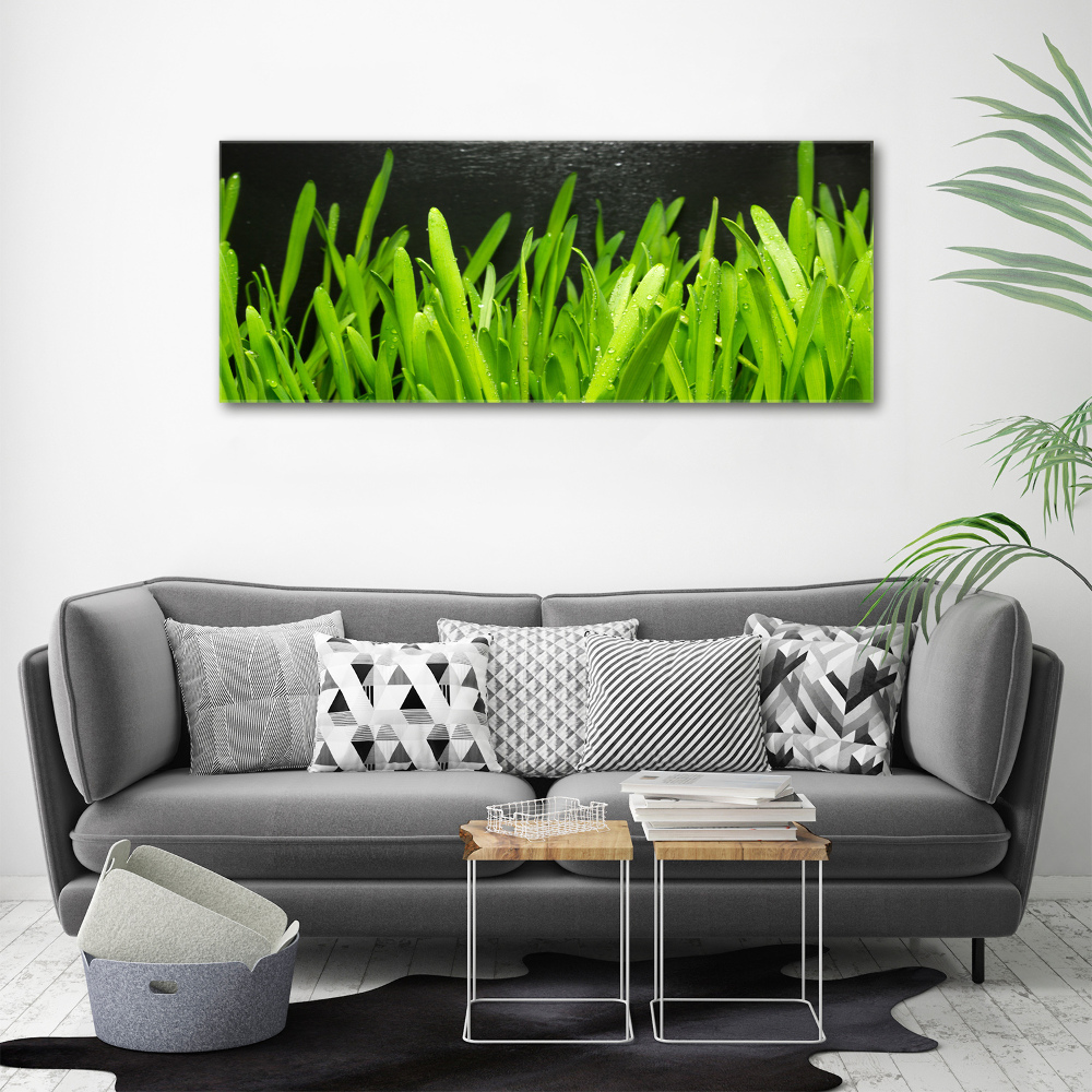 Tableau imprimé sur toile Herbe