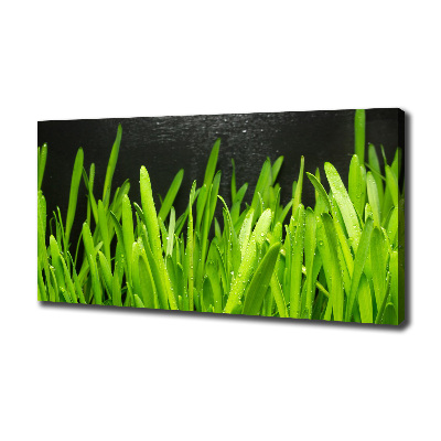 Tableau imprimé sur toile Herbe