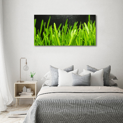 Tableau imprimé sur toile Herbe