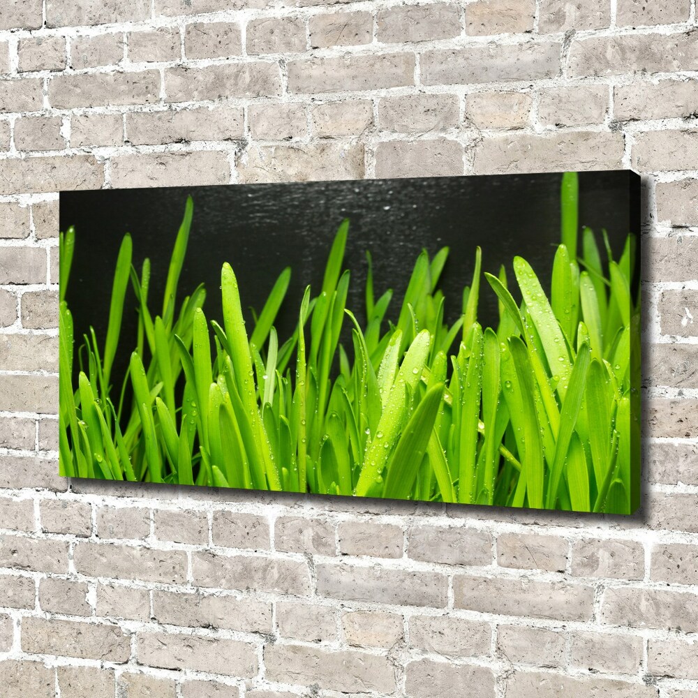 Tableau imprimé sur toile Herbe