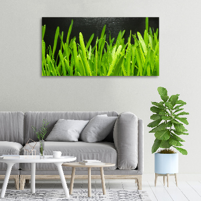 Tableau imprimé sur toile Herbe