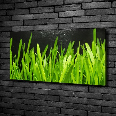 Tableau imprimé sur toile Herbe