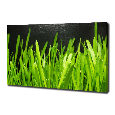 Tableau imprimé sur toile Herbe