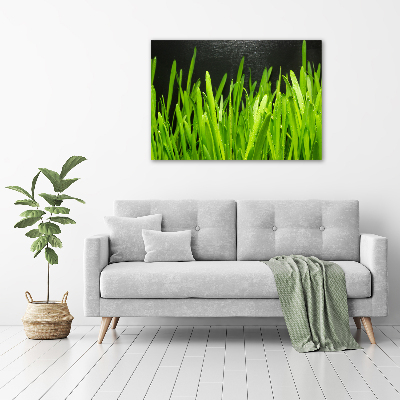 Tableau imprimé sur toile Herbe