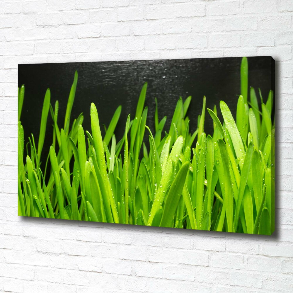 Tableau imprimé sur toile Herbe