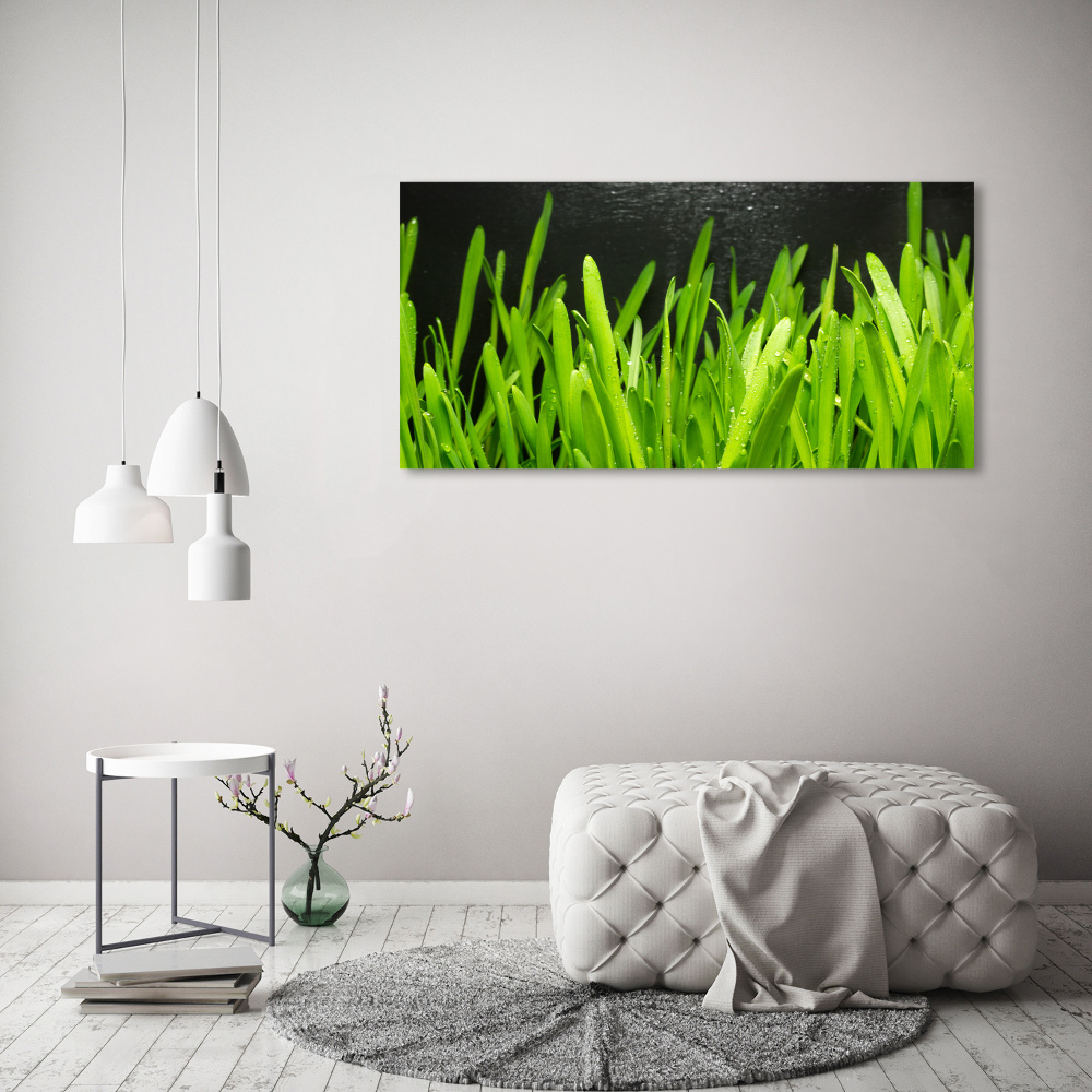 Tableau imprimé sur toile Herbe