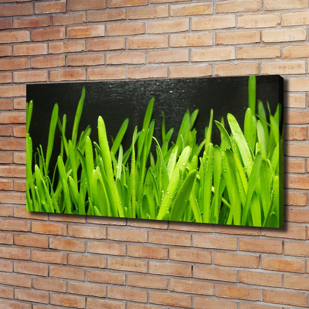 Tableau imprimé sur toile Herbe