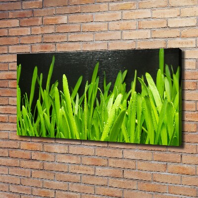 Tableau imprimé sur toile Herbe