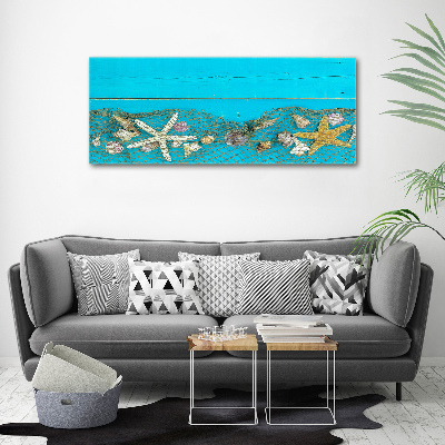 Tableau photo sur toile Étoile de mer et coquillages