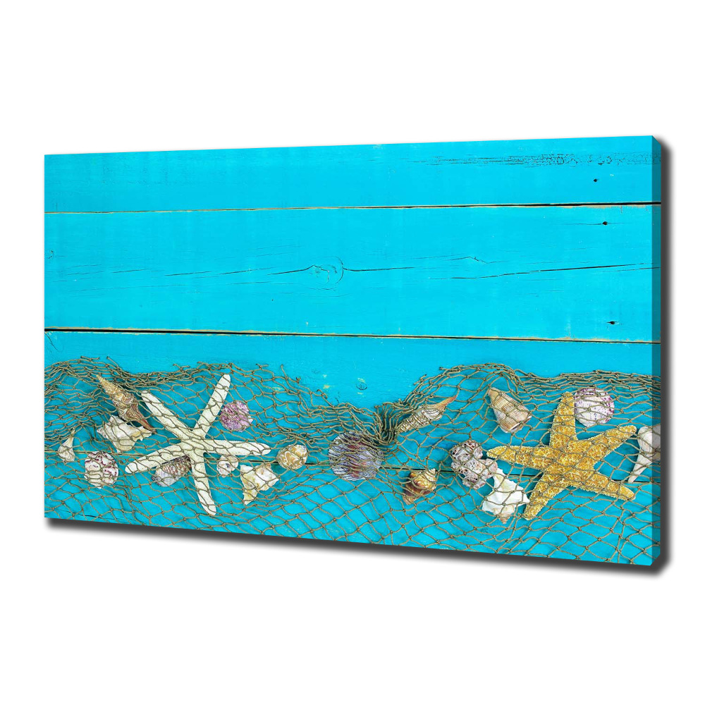 Tableau photo sur toile Étoile de mer et coquillages