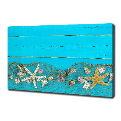 Tableau photo sur toile Étoile de mer et coquillages