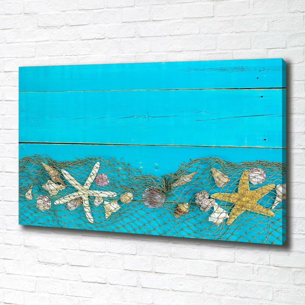 Tableau photo sur toile Étoile de mer et coquillages