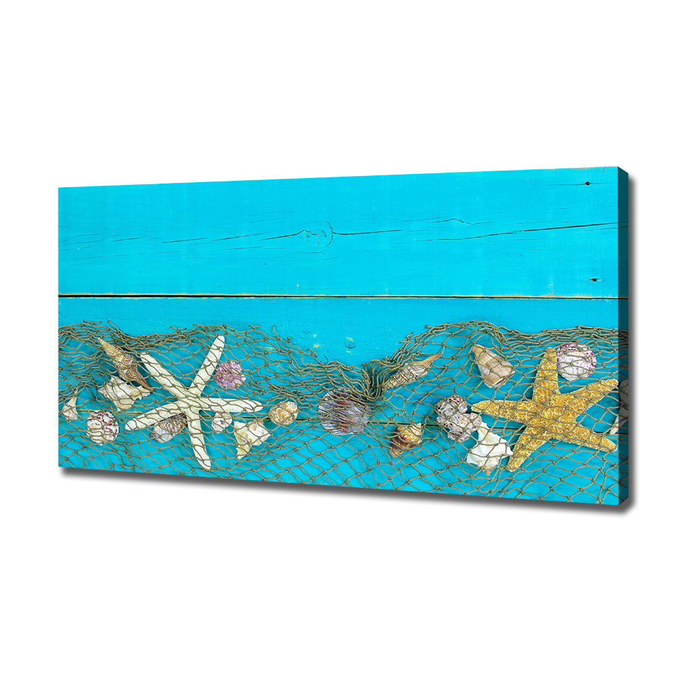 Tableau photo sur toile Étoile de mer et coquillages