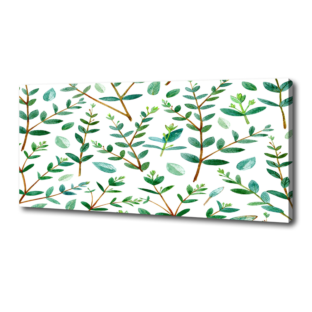 Tableau mural sur toile Eucalyptus