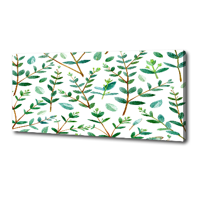 Tableau mural sur toile Eucalyptus