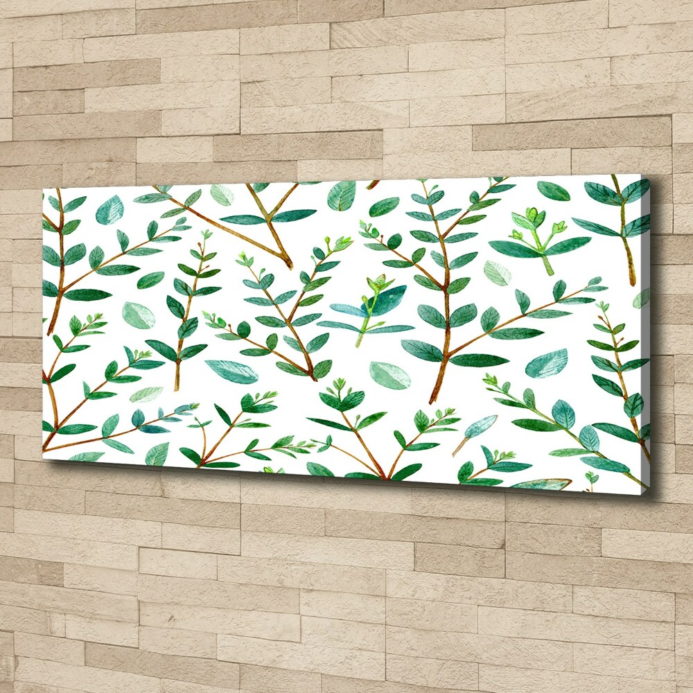 Tableau mural sur toile Eucalyptus