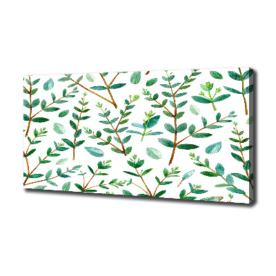 Tableau mural sur toile Eucalyptus