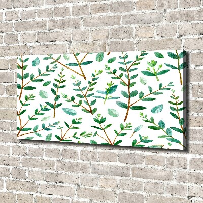 Tableau mural sur toile Eucalyptus