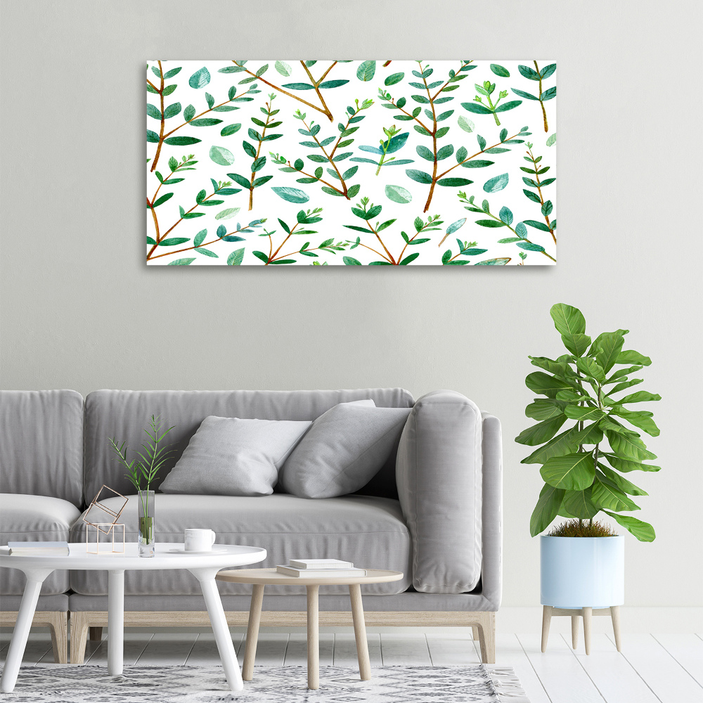 Tableau mural sur toile Eucalyptus