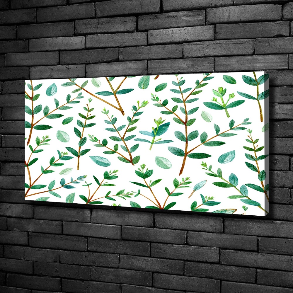 Tableau mural sur toile Eucalyptus