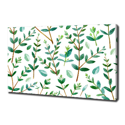 Tableau mural sur toile Eucalyptus