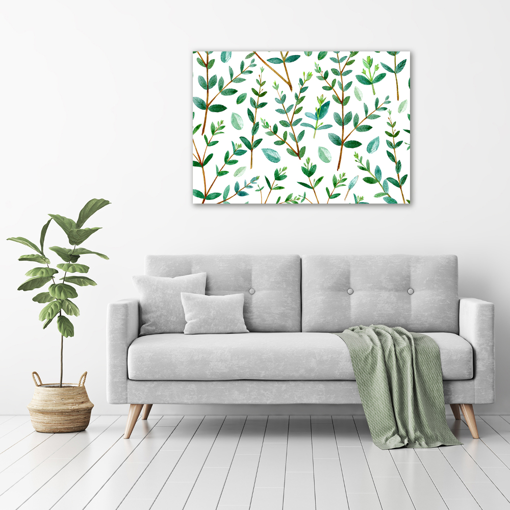 Tableau mural sur toile Eucalyptus