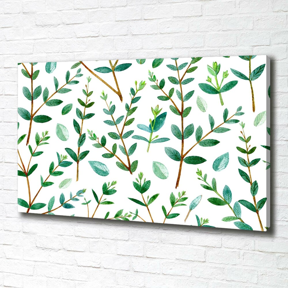 Tableau mural sur toile Eucalyptus