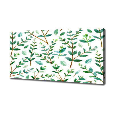 Tableau mural sur toile Eucalyptus