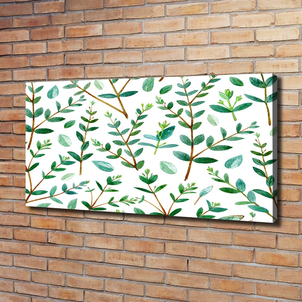 Tableau mural sur toile Eucalyptus