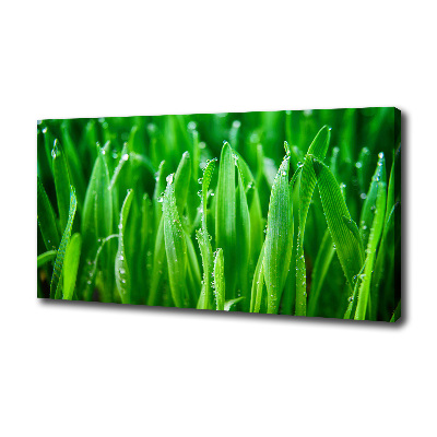 Tableau photo sur toile Herbe