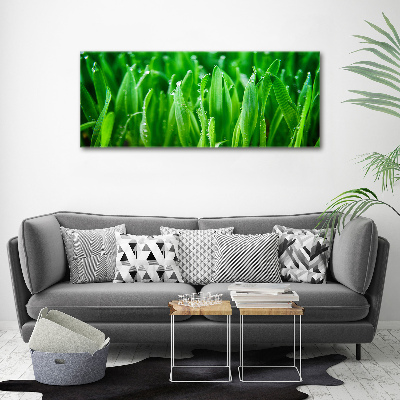 Tableau photo sur toile Herbe