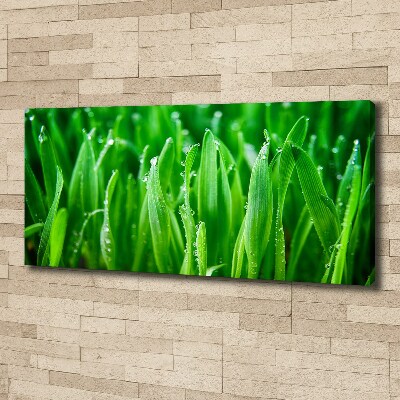 Tableau photo sur toile Herbe