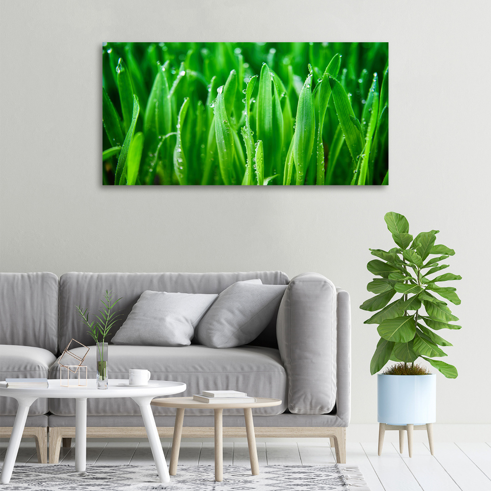 Tableau photo sur toile Herbe