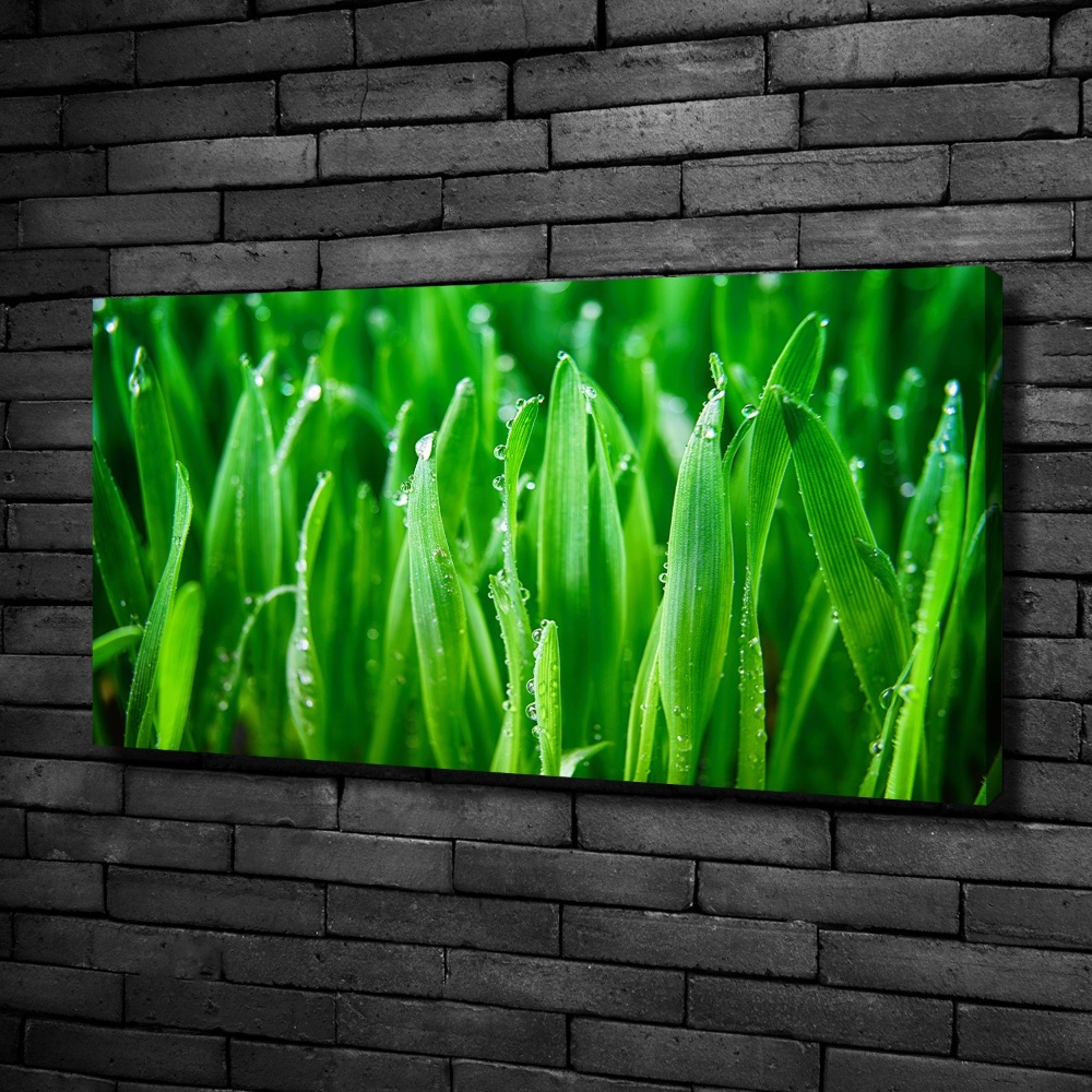 Tableau photo sur toile Herbe