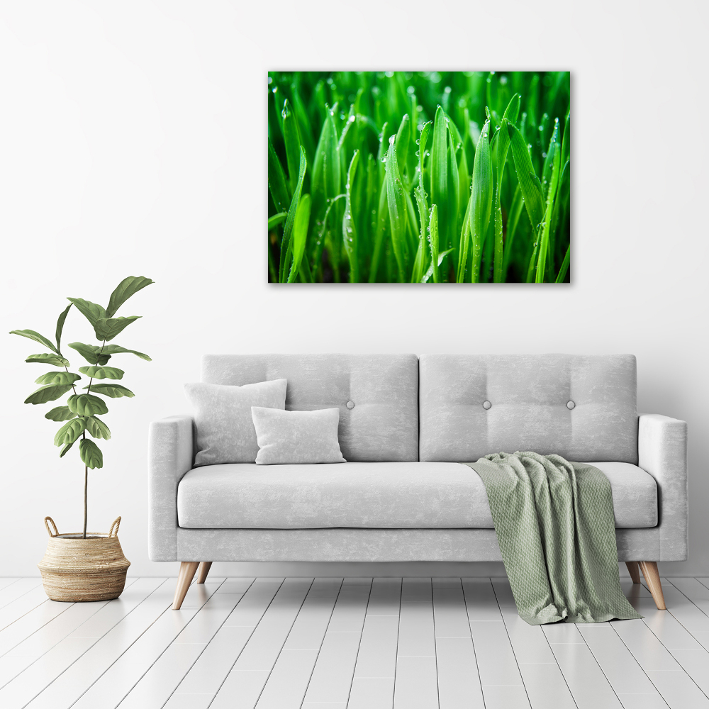 Tableau photo sur toile Herbe