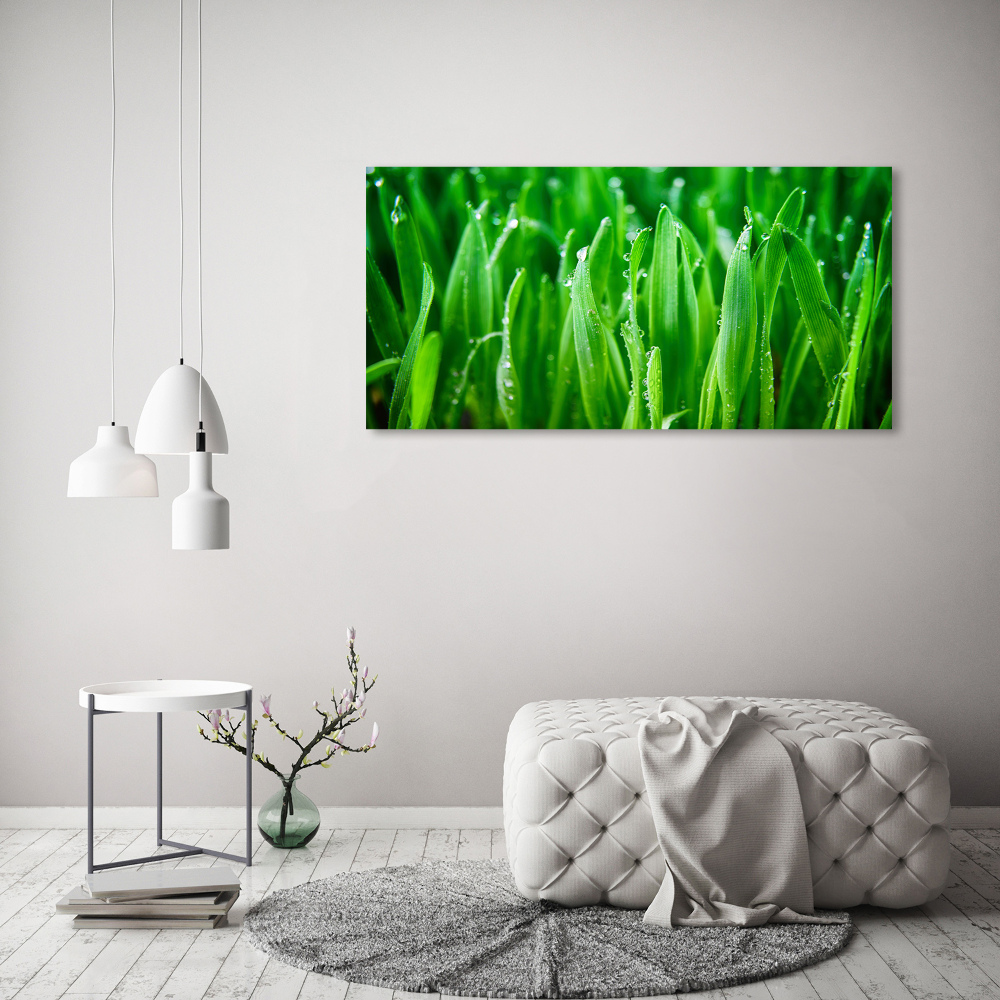 Tableau photo sur toile Herbe