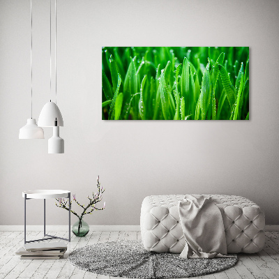 Tableau photo sur toile Herbe