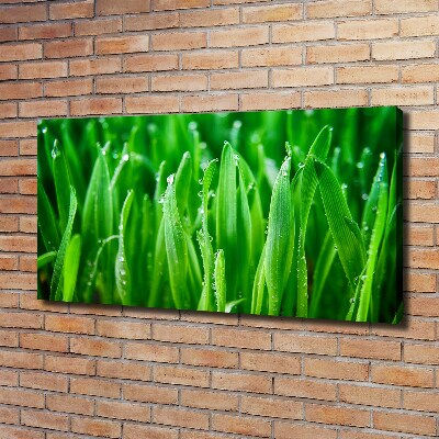 Tableau photo sur toile Herbe