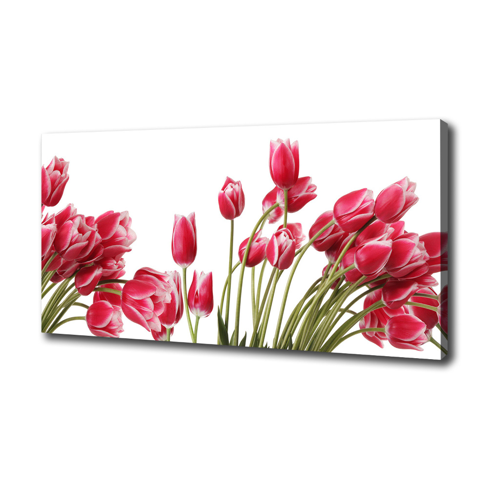 Tableau sur toile Tulipes rouges