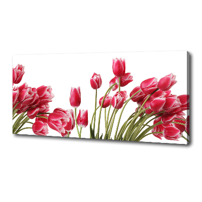 Tableau sur toile Tulipes rouges