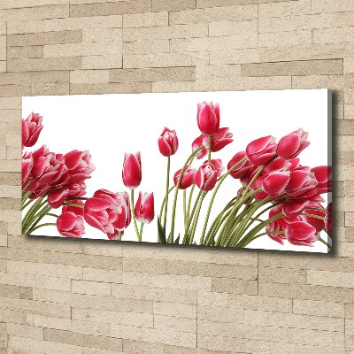 Tableau sur toile Tulipes rouges