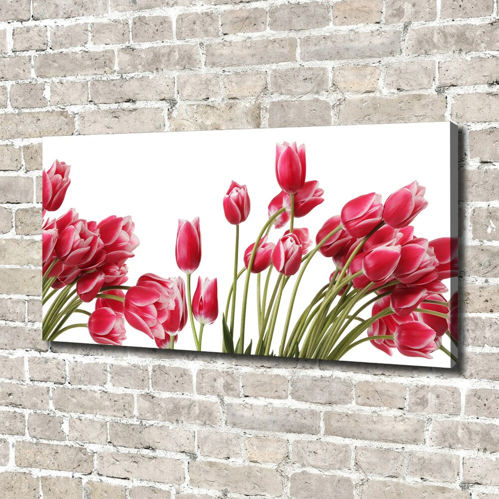 Tableau sur toile Tulipes rouges