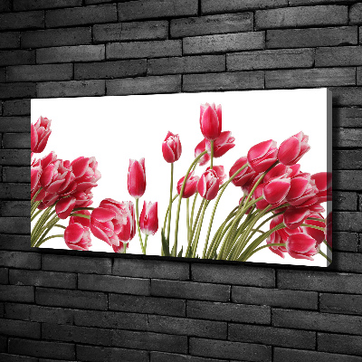 Tableau sur toile Tulipes rouges