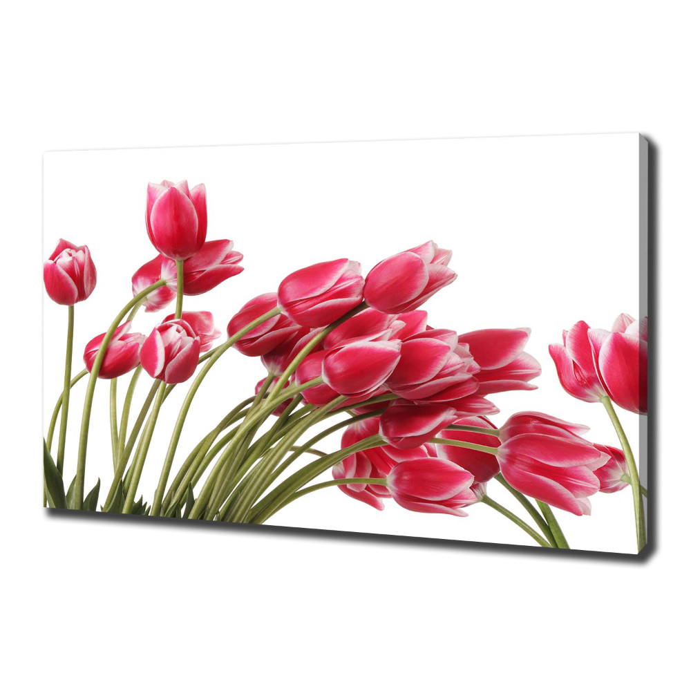 Tableau sur toile Tulipes rouges