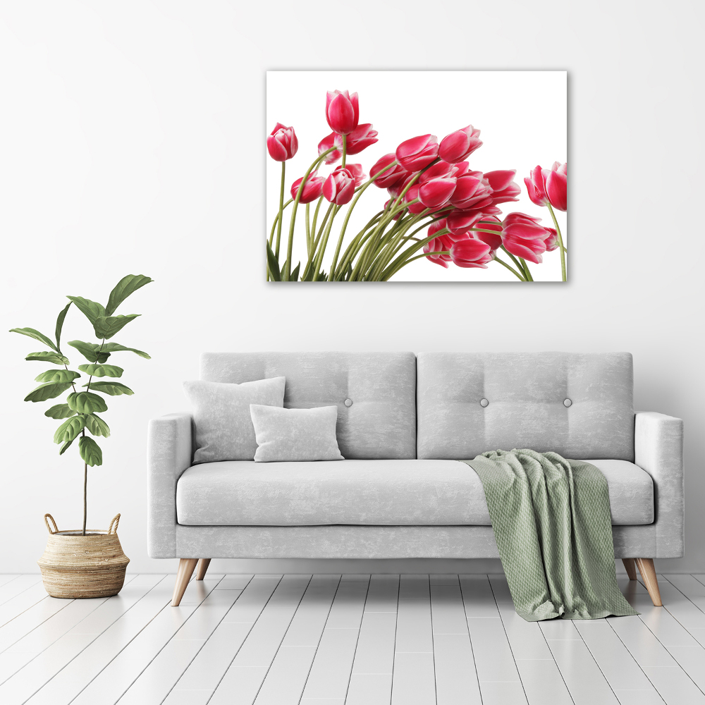 Tableau sur toile Tulipes rouges