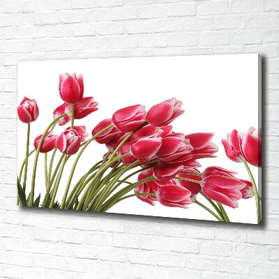 Tableau sur toile Tulipes rouges