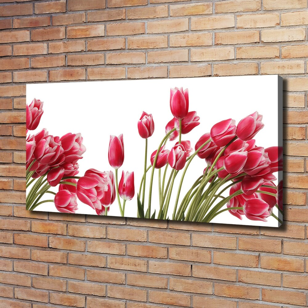 Tableau sur toile Tulipes rouges